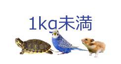 1kg未満